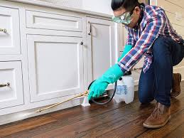 Real Estate Pest Inspections in Athens, TX